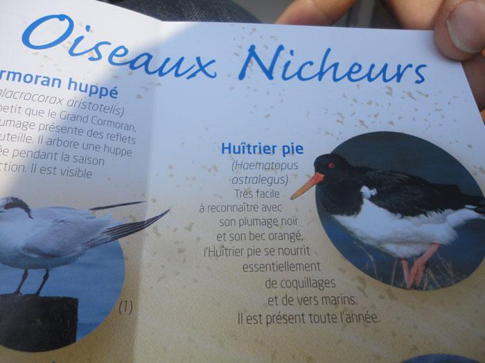 Monthly pics 01 - DIA