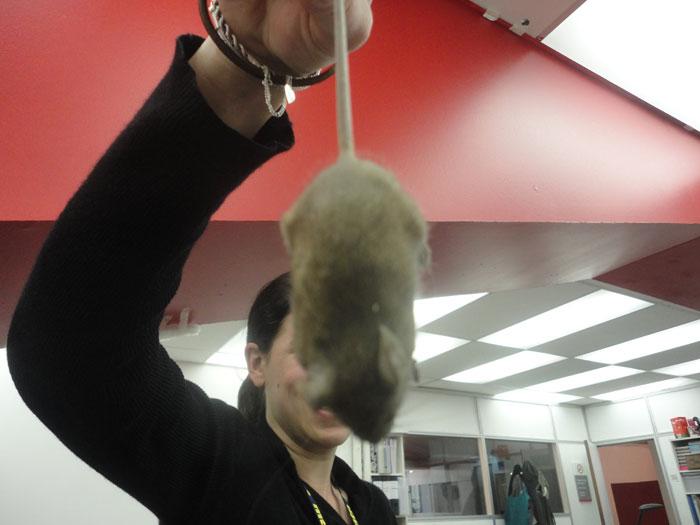 Monthly pics 01 - DIA