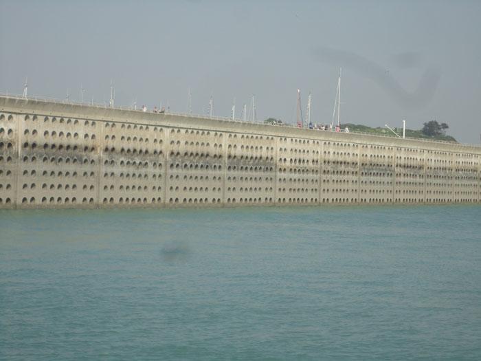 Monthly pics 01 - DIA