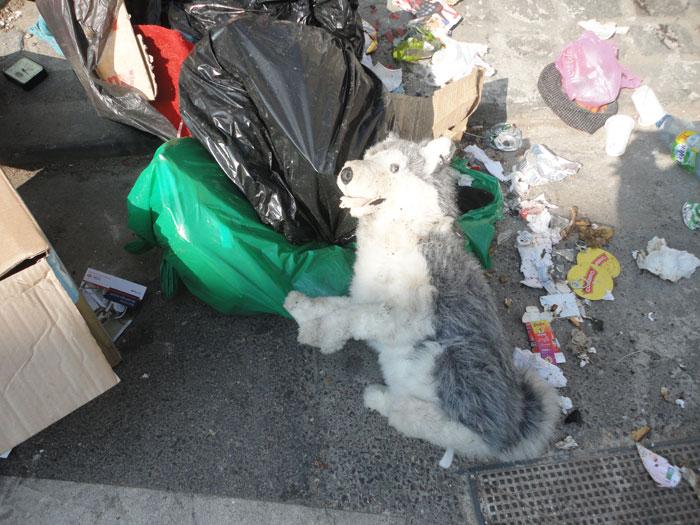 Monthly pics 01 - DIA