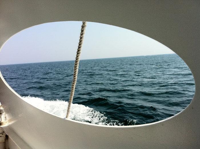 Monthly pics 01 - DIA