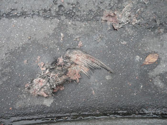 Monthly pics 01 - DIA