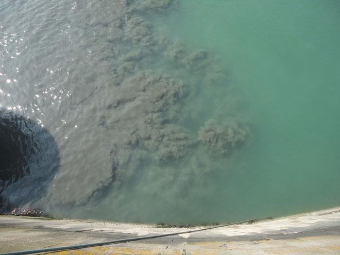 Monthly pics 01 - DIA