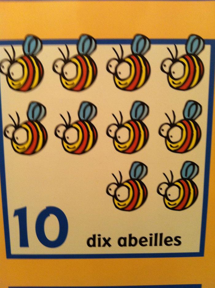 Monthly pics 01 - DIA