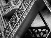 Bibliothècture n°12 cathédrale littéraire