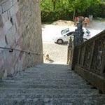 Najac, église saint-jean : oh, c'est zapette en bas des marches ! Ben oui, on n'allait pas lui faire grimper les escaliers juste pour prendre une photo... P1050492.JPG