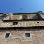 Najac : oh les jolis zozios ! P1050495.JPG