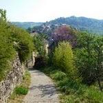 Najac : Le petit chemin de randonnée qui passe près du chateau offre une vue magnifique sur Najac et représente un petit coin de verdure après ces longues rues en pierres P1050462.JPG