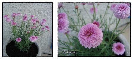 Marché fermier chez Louisette, 1er mai 2011