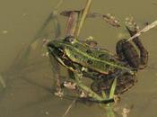 Parc animalier Sainte-Croix (57)