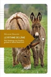 Hollande ou DSK, c’est kif-kif… bourricots.