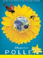 En mai, le cinéma Les Etoiles se met au vert