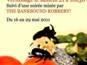 Sculpture photographie installation claire cohen lachiver