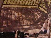 Promenades (Photos partir d'un collage P.Laranco).