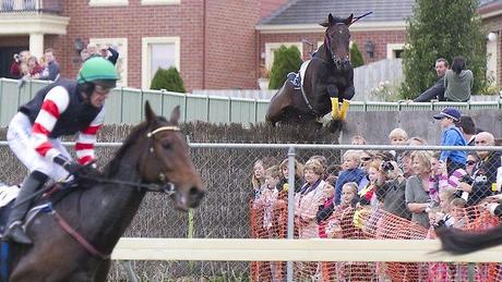 Un cheval fou saute dans la foule en Australie