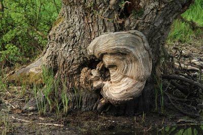 Stenay - Assemblée Générale du CSL 2011