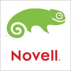 Logo - Novell - SuSE