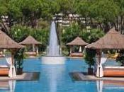 solos cadres supérieurs