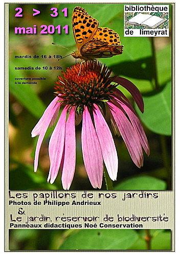 expo-papillons-Philippe-Andrieux.jpg