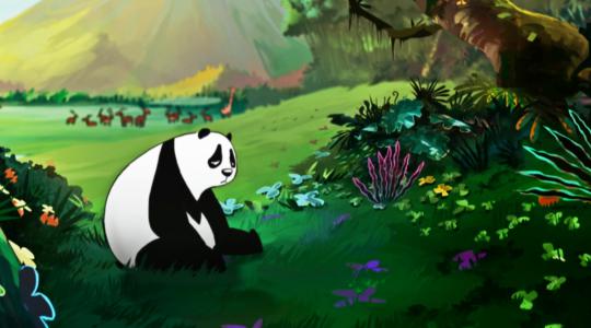 panda Akama :TIJI Colour