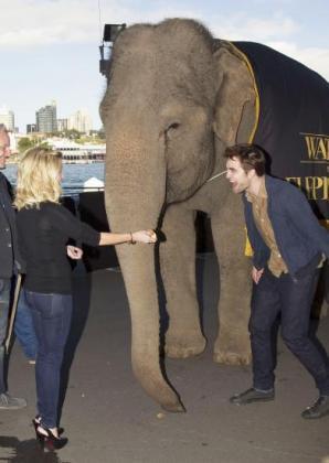 Pas toujours marrant de poser à côté d'un éléphant