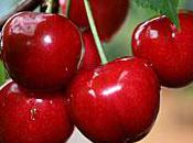 temps cerises