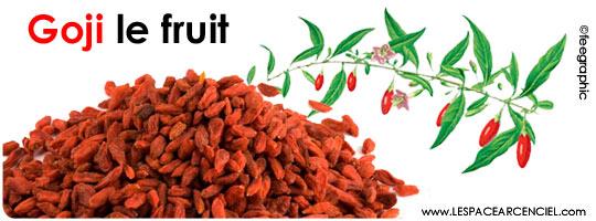 Le Goji un Fruit au Service du Bien-Être