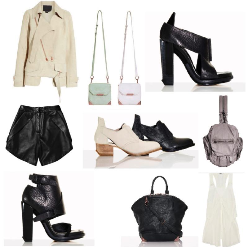 Alexander Wang - SuccessFashionStory