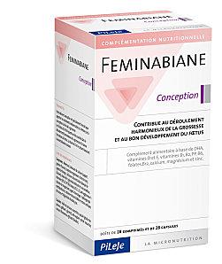 Feminabiane-conception-01.jpg