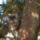 April 2011 : Flowers #2