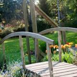 April 2011 : Flowers #2