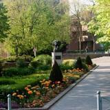 April 2011 : Flowers #2