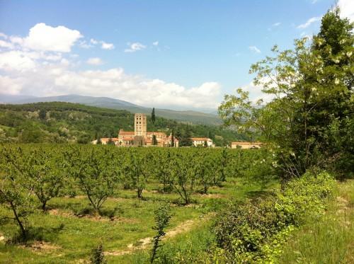 hugault pau bachibouzouck 040.JPG