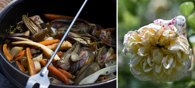 Le retour des beaux jours