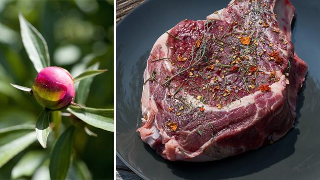 Le retour des beaux jours