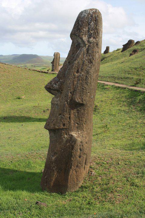 IDP - Rano Raraku - moai n° 295 - 04/2011