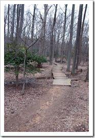 03042011-DSC_0097bis