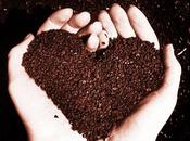 Résultats concours Coque BallPads