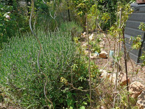 Les travaux de printemps se poursuivent : journaux des 30 avril et 8 mai 2011