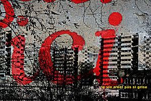 ICI-Larris-pas-si-gris