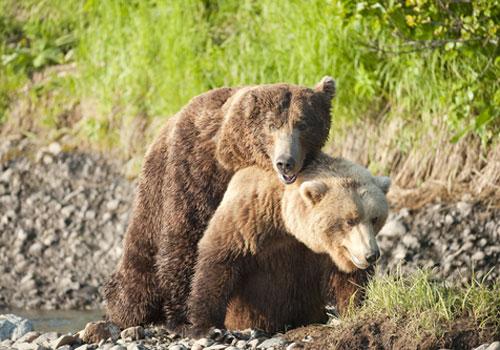 La tendresse se la joue aussi à poils....