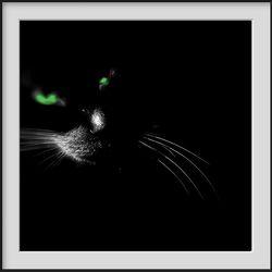 Je vous ai parlé il y a environ un an, d'épreuves angoissantes.