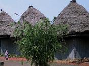 stratégie groupe pour développement Tourisme Afrique centrale