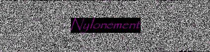 logo small nylonement