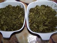 Gratin de brocolis au Bleu d'Auvergne