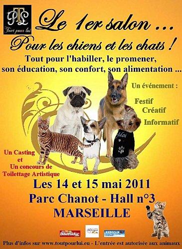salon-chien-chat.JPG
