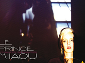 Prince Miiaou Fill Blank With Your Emptiness