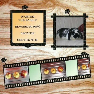 Gnocchetti de pain au parmesan