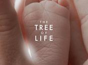 Tree Life, film Terrence Malick l’année certainement