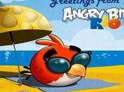 Angry Bird Mise jour